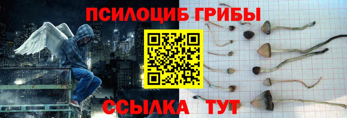 Камышин  Галлюциногенные грибы мицелий  Псилоцибиновые грибы Magic Shrooms  Вход с VPN 