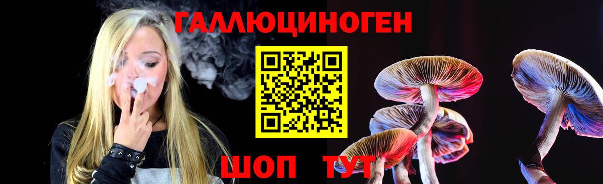 Галлюциногенные грибы Psilocybine cubensis Камышин